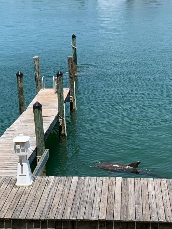 Luxury And Spacious Waterside Getaway Clearwater Beach Zewnętrze zdjęcie